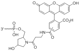 Unit Structure: 3'-Fluorescein